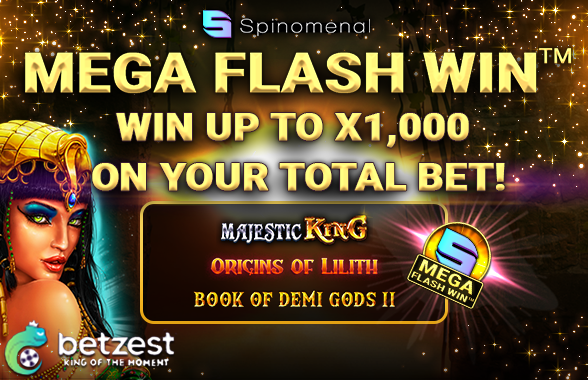 Mega Flash Win